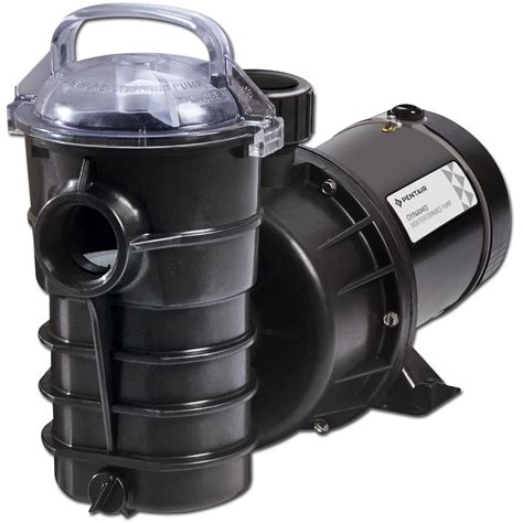 aquaforte swimming pool pumps